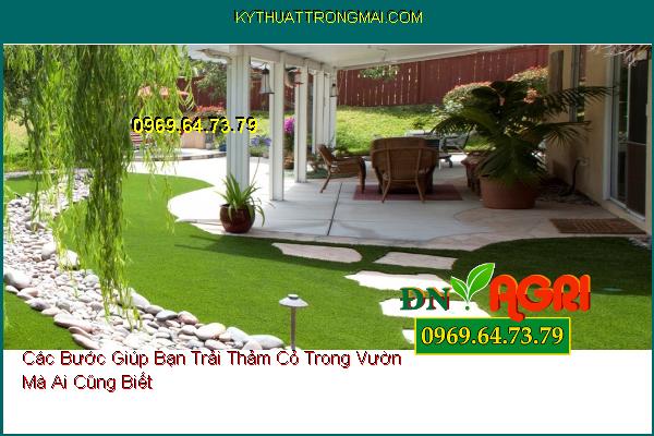 Các Bước Giúp Bạn Trải Thảm Cỏ Trong Vườn Mà Ai Cũng Biết