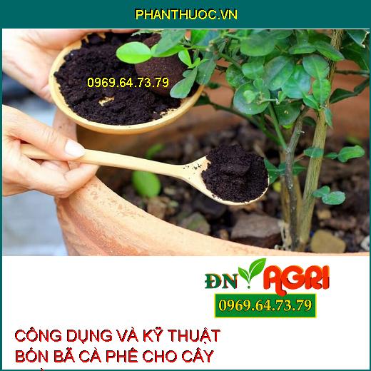 CÔNG DỤNG VÀ KỸ THUẬT BÓN BÃ CÀ PHÊ CHO CÂY TRỒNG 