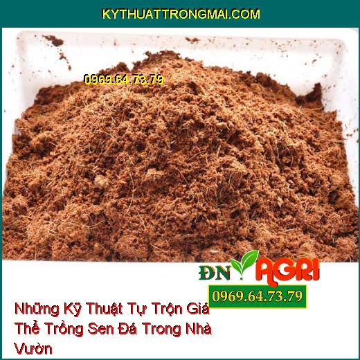 Những Kỹ Thuật Tự Trộn Giá Thể Trồng Sen Đá Trong Nhà Vườn