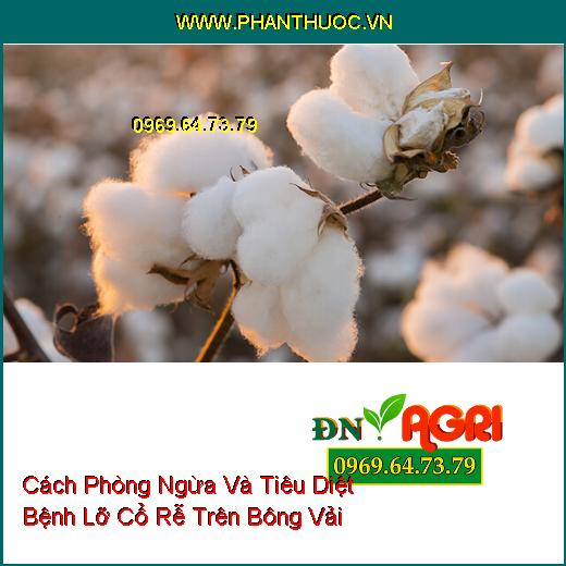 Cách Phòng Ngừa Và Tiêu Diệt Bệnh Lỡ Cổ Rễ Trên Bông Vải