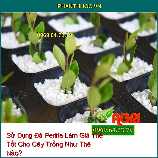 Sử Dụng Đá Perlite Làm Giá Thể Tốt Cho Cây Trồng Như Thế Nào?