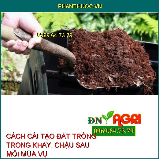 CÁCH CẢI TẠO ĐẤT TRỒNG TRONG KHAY, CHẬU SAU MỖI MÙA VỤ