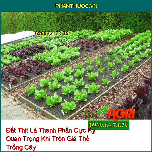 Đất Thịt Là Thành Phần Cực Kỳ Quan Trọng Khi Trộn Giá Thể Trồng Cây