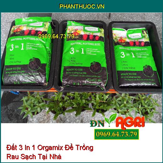 Những Nguyên Do Nên Chọn Đất 3 In 1 Orgamix Để Trồng Rau Sạch Tại Nhà