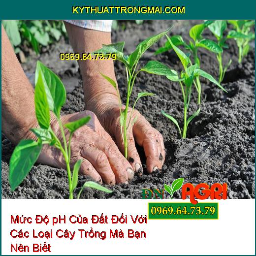 Mức Độ pH Của Đất Đối Với Các Loại Cây Trồng Mà Bạn Nên Biết