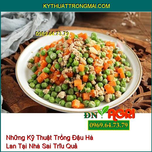 Những Kỹ Thuật Trồng Đậu Hà Lan Tại Nhà Sai Trĩu Quả Mà Chất Lượng