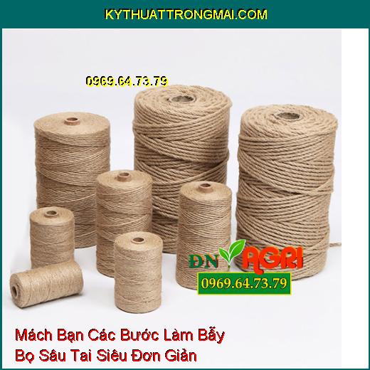 Mách Bạn Các Bước Làm Bẫy Bọ Sâu Tai Siêu Đơn Giản