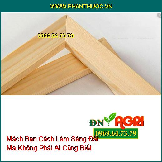 Mách Bạn Cách Làm Sáng Đất Mà Không Phải Ai Cũng Biết