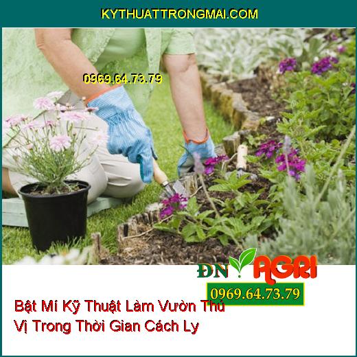 Bật Mí Kỹ Thuật Làm Vườn Thú Vị Trong Thời Gian Cách Ly