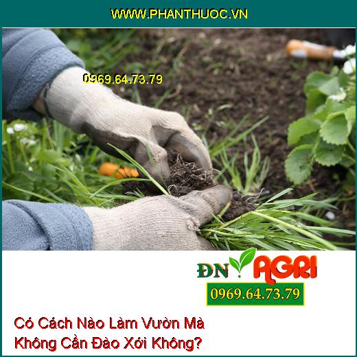 Có Cách Nào Làm Vườn Mà Không Cần Đào Xới Không? 