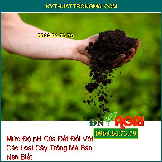 Mức Độ pH Của Đất Đối Với Các Loại Cây Trồng Mà Bạn Nên Biết