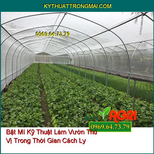 Bật Mí Kỹ Thuật Làm Vườn Thú Vị Trong Thời Gian Cách Ly