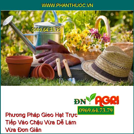 Phương Pháp Gieo Hạt Trực Tiếp Vào Chậu Vừa Dễ Làm Vừa Đơn Giản