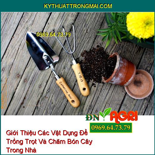 Giới Thiệu Các Vật Dụng Để Trồng Trọt Và Chăm Bón Cây Trong Nhà Hiệu Quả