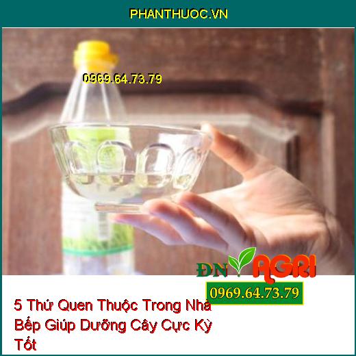 5 Thứ Quen Thuộc Trong Nhà Bếp Giúp Dưỡng Cây Cực Kỳ Tốt