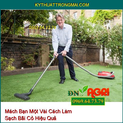 Mách Bạn Một Vài Cách Làm Sạch Bãi Cỏ Hiệu Quả 