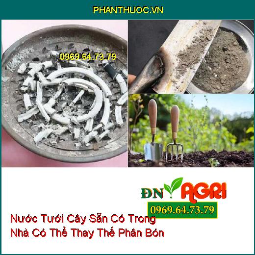 6 Loại Nước Tưới Cây Sẵn Có Trong Nhà Có Thể Thay Thế Phân Bón