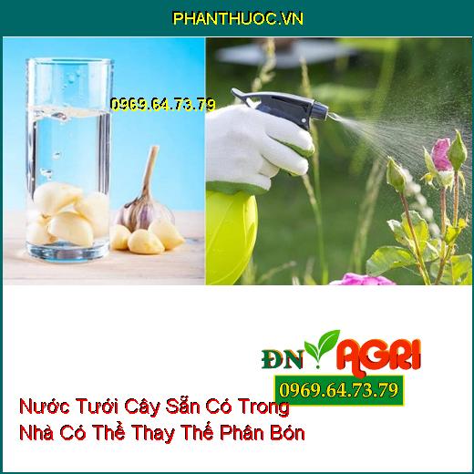 6 Loại Nước Tưới Cây Sẵn Có Trong Nhà Có Thể Thay Thế Phân Bón