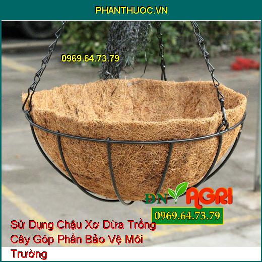 Sử Dụng Chậu Xơ Dừa Trồng Cây Góp Phần Bảo Vệ Môi Trường