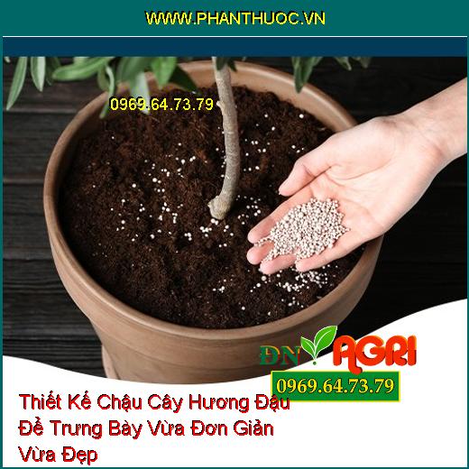 Thiết Kế Chậu Cây Hương Đậu Để Trưng Bày Vừa Đơn Giản Vừa Đẹp