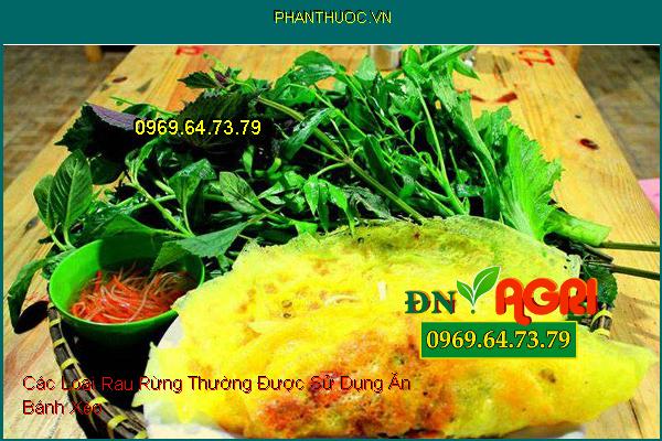 Các Loại Rau Rừng Thường Được Sử Dụng Ăn Bánh Xèo