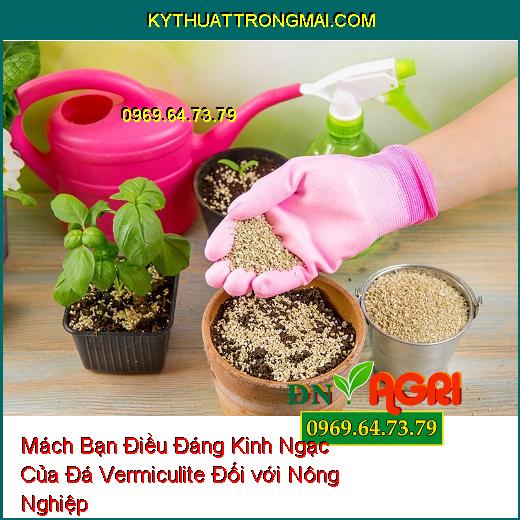 Mách Bạn Điều Đáng Kinh Ngạc Của Đá Vermiculite Đối với Nông Nghiệp