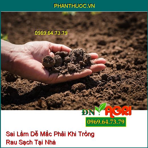 8 Sai Lầm Dễ Mắc Phải Khi Trồng Rau Sạch Tại Nhà