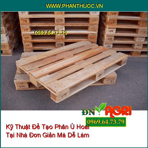 Kỹ Thuật Để Tạo Phân Ủ Hoai Tại Nhà Đơn Giản Mà Dễ Làm