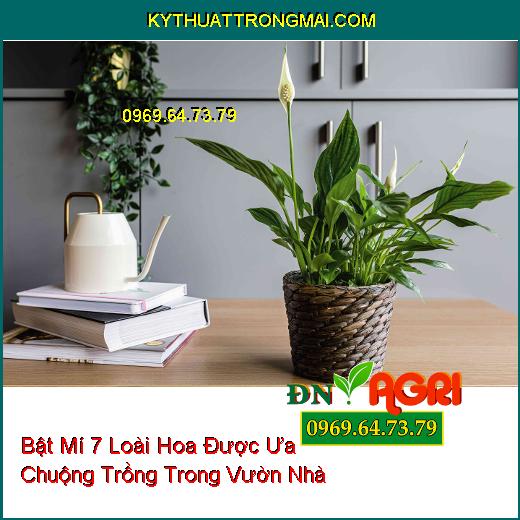 Bật Mí 7 Loài Hoa Được Ưa Chuộng Trồng Trong Vườn Nhà 