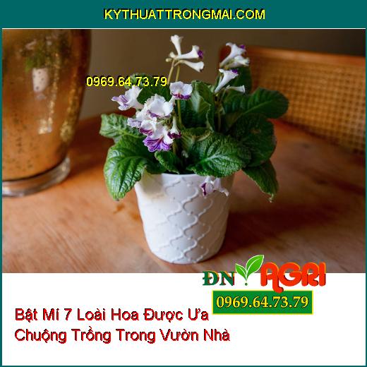 hoa trồng trong vườn nhà