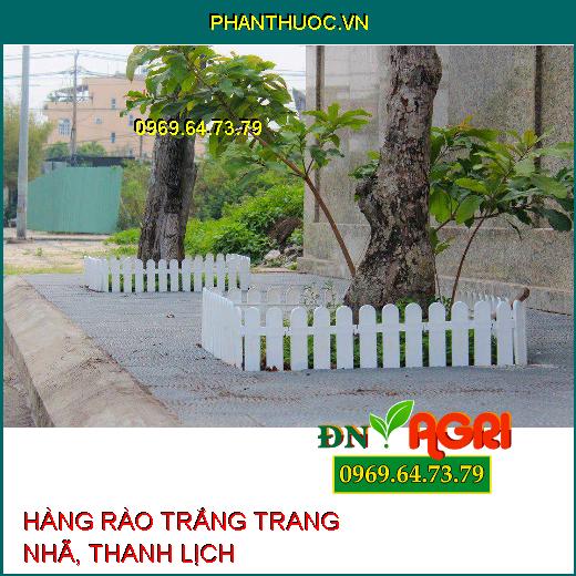 5 Kiểu Hàng Rào Màu Trắng Trang Nhã, Thanh Lịch Bài Trí Cho Khu Vườn