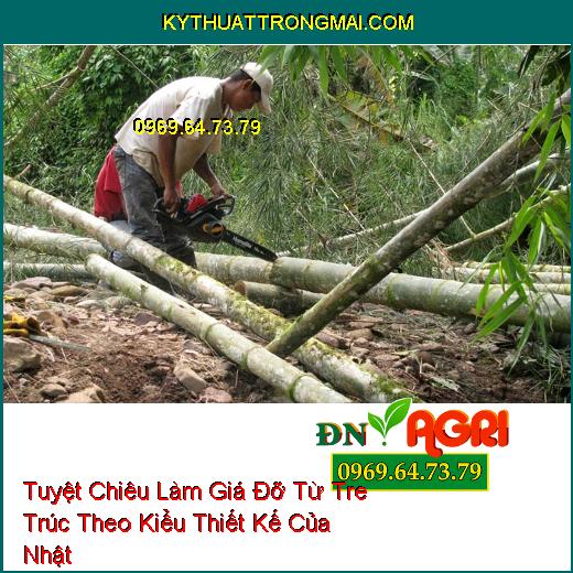 Tuyệt Chiêu Làm Giá Đỡ Từ Tre Trúc Theo Kiểu Thiết Kế Của Nhật