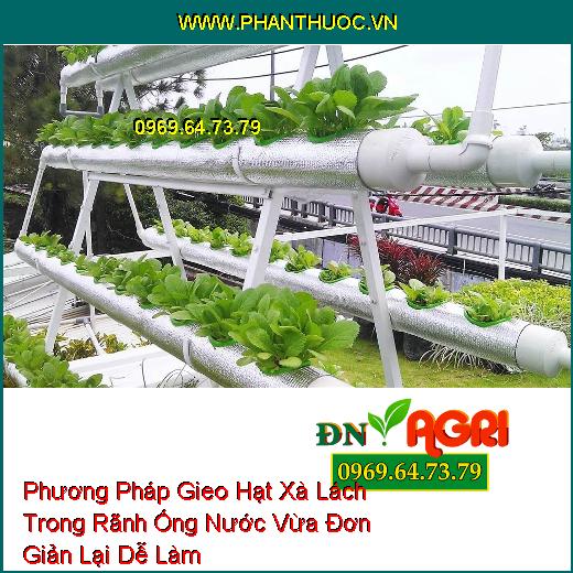 Phương Pháp Gieo Hạt Xà Lách Trong Rãnh Ống Nước Vừa Đơn Giản Lại Dễ Làm