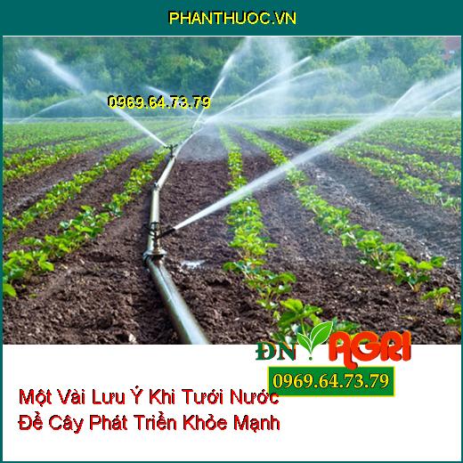 Một Vài Lưu Ý Khi Tưới Nước Để Cây Phát Triển Khỏe Mạnh