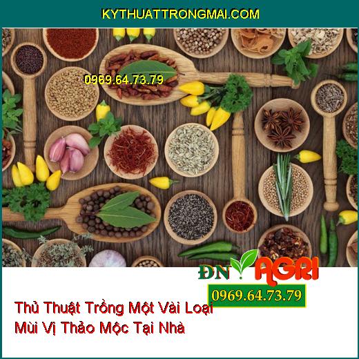 Một Vài Loại Mùi Vị Thảo Mộc