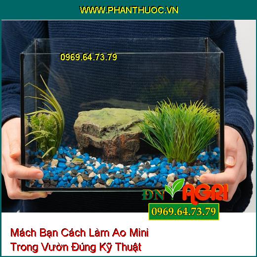 Rải sỏi lên bề mặt giỏ cây thủy sinh