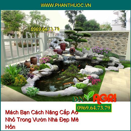 Mách Bạn Cách Nâng Cấp Ao Nhỏ Trong Vườn Nhà Đẹp Mê Hồn