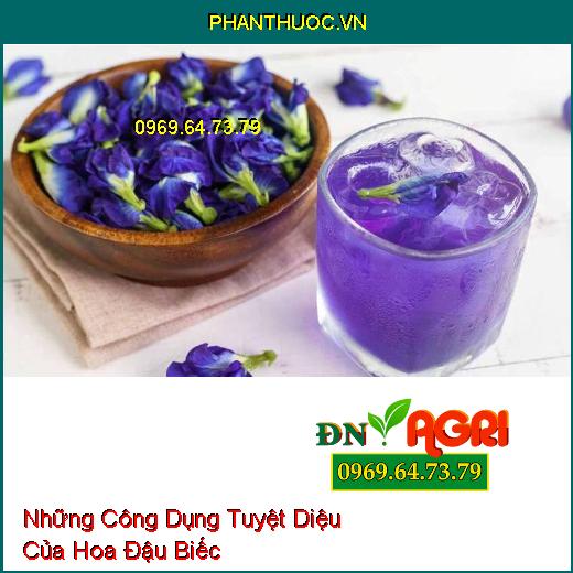 Những Công Dụng Tuyệt Diệu Của Hoa Đậu Biếc 