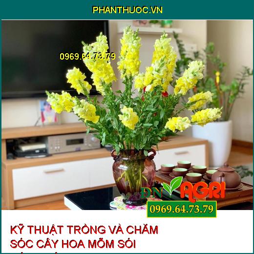 KỸ THUẬT TRỒNG VÀ CHĂM SÓC CÂY HOA MÕM SÓI ĐÚNG CÁCH