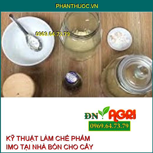 KỸ THUẬT LÀM CHẾ PHẨM IMO TẠI NHÀ BÓN CHO CÂY 