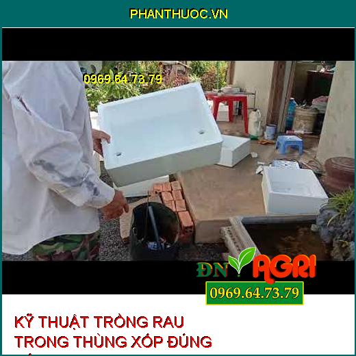 KỸ THUẬT TRỒNG RAU TRONG THÙNG XỐP ĐÚNG CÁCH ĐỂ RAU XANH, SẠCH