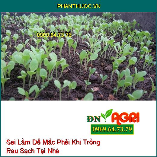 8 Sai Lầm Dễ Mắc Phải Khi Trồng Rau Sạch Tại Nhà