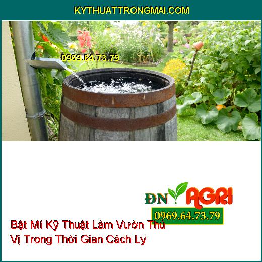 Bật Mí Kỹ Thuật Làm Vườn Thú Vị Trong Thời Gian Cách Ly