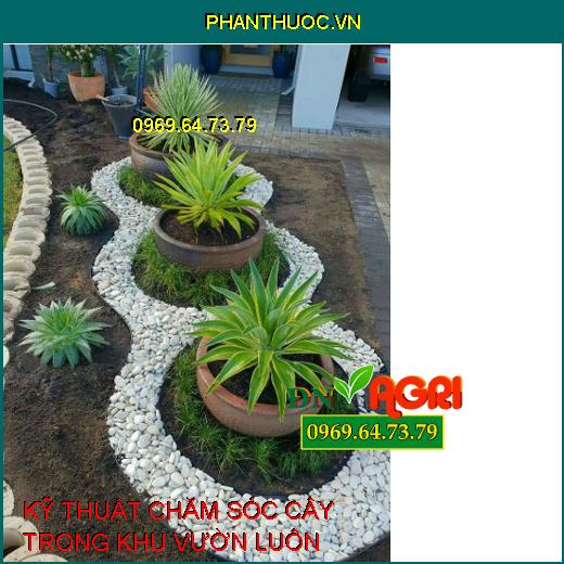 KỸ THUẬT CHĂM SÓC CÂY TRONG KHU VƯỜN LUÔN XANH TƯƠI