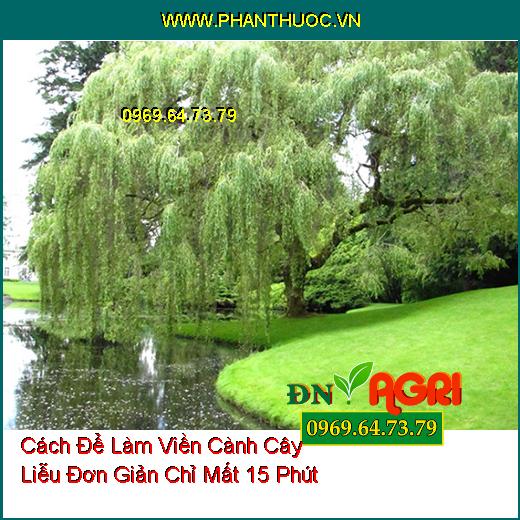 Cách Để Làm Viền Cành Cây Liễu Đơn Giản Chỉ Mất 15 Phút