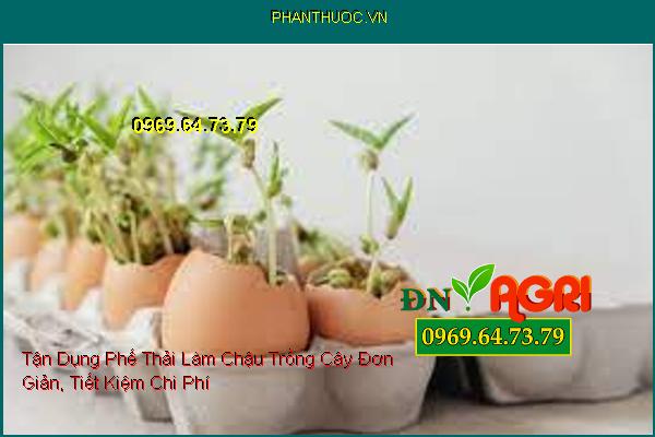 Tận Dụng Phế Thải Làm Chậu Trồng Cây Đơn Giản, Tiết Kiệm Chi Phí