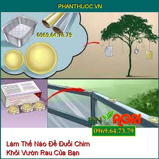 Làm Thế Nào Để Đuổi Chim Khỏi Vườn Rau Của Bạn