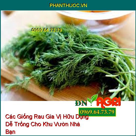 Các Giống Rau Gia Vị Hữu Dụng Dễ Trồng Cho Khu Vườn Nhà Bạn