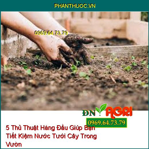 5 Thủ Thuật Hàng Đầu Giúp Bạn Tiết Kiệm Nước Tưới Cây Trong Vườn 