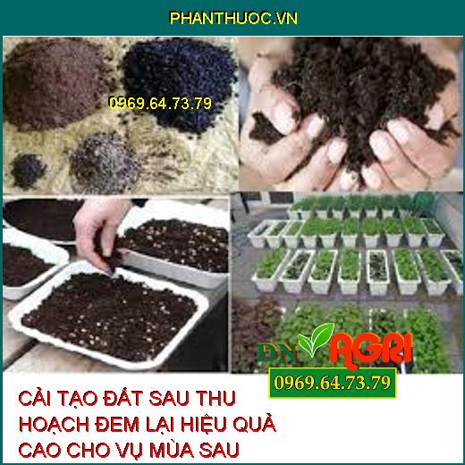 CẢI TẠO ĐẤT SAU THU HOẠCH ĐEM LẠI HIỆU QUẢ CAO CHO VỤ MÙA SAU